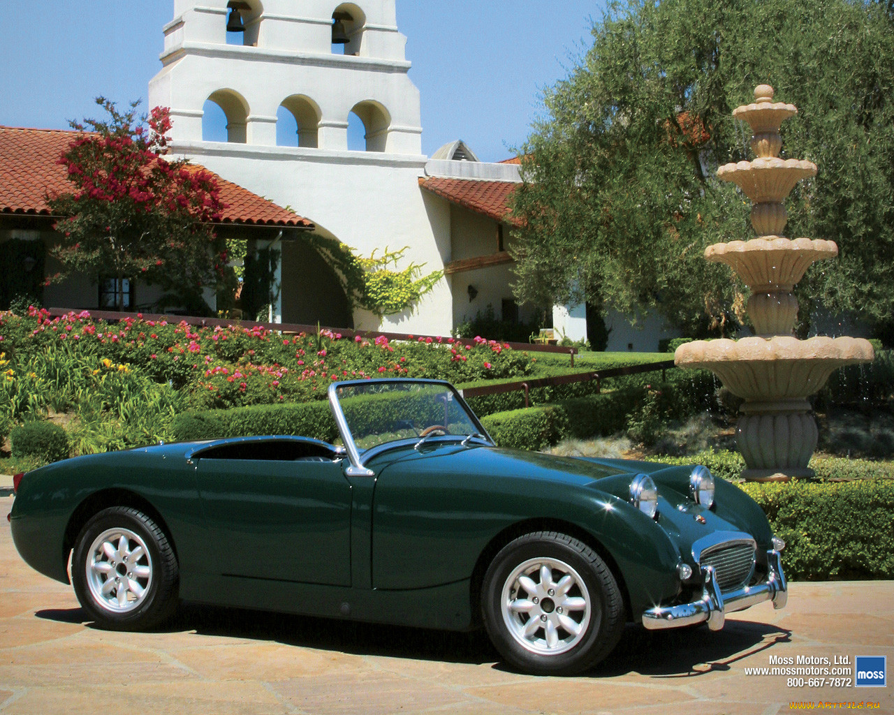 , triumph